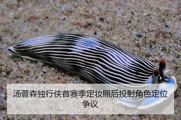 tang-pu-sen-du-xing-xia-shou-sai-ji-ding-zhuang-zhao-hou-tou-she-jue-se-ding-wei-zheng-yi-3-791.jpg